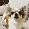 Фото профиля Tom