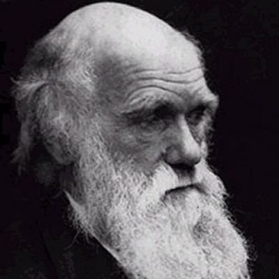 Danish_SMF's profile picture
