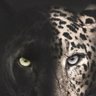 اسمرررر profil fotoğrafı