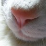 あっくん's profile picture