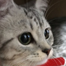 Profilbild von 力