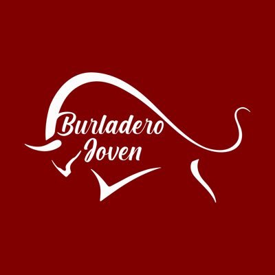BURLADERO JOVEN's profile picture