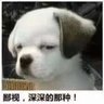 Jen's profile picture