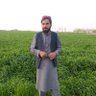 Profilbild von Najibullah Hashami