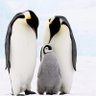 ミスリル profil fotoğrafı