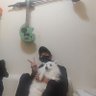 TETSU 的头像