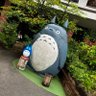 shu-zu's profile picture