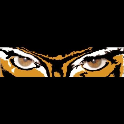 Ander_Bruckes's profile picture
