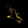 Fight Eags profil fotoğrafı