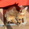 Mick profil fotoğrafı