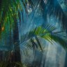 Фото профиля Princeton McCasely