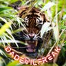 Lars DaDevilfreak K.'s profile picture