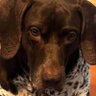 Bella❤️'s profile picture