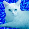 Profilbild von Zach