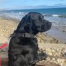 jlacyphotos profil fotoğrafı