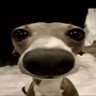bloodred's profile picture