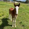 Timmy's profile picture