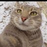 Profilbild von ayaz