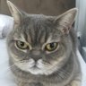 Profilbild von Mademoiselle