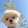 Profilbild von Lizl