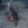 Фото профиля たろう