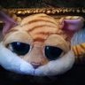 Profilbild von pantoufle pepete