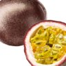 Tulli Padwa 的头像