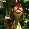 João Frango's profile picture