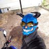 King of Demons's profile picture
