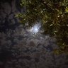 مهتم بالتسويق 🤍🍃.'s profile picture