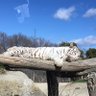 たたたのた🌈 profil fotoğrafı