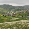 Mehmet ŞEN 的头像
