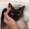 ANY ✰ 的头像
