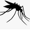 mosquito profil fotoğrafı