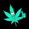 devaneios canábicos's profile picture