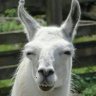 Profilbild von RodRuiz