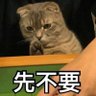 Profilbild von 嘎逼