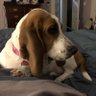 dpjones61's profile picture