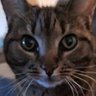 Sandra Sezer's profile picture