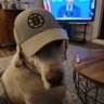 ElliottRocks's profile picture