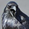 Ataque Cardíaco profil fotoğrafı