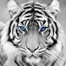 ขี้ธูปไหว้พระ's profile picture