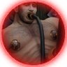 Profilbild von Endilat, the Kiny One