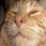 Profilbild von Dippn -ER