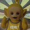 Zephyr's profile picture