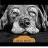 OldDog78 的头像
