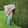 :peter:o’dea. profil fotoğrafı