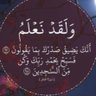 Фото профиля أبو اسلام