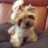 Haruko profil fotoğrafı