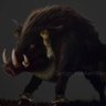Profilbild von White Boar